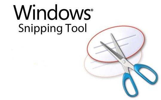 What are the reasons why "Snip Could Not Be Sent" in Windows 10?